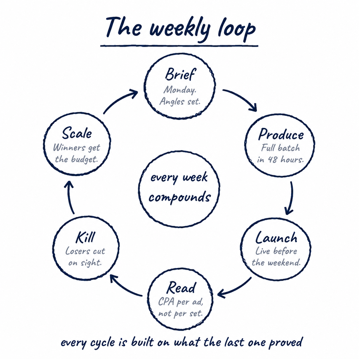 The Weekly Loop
